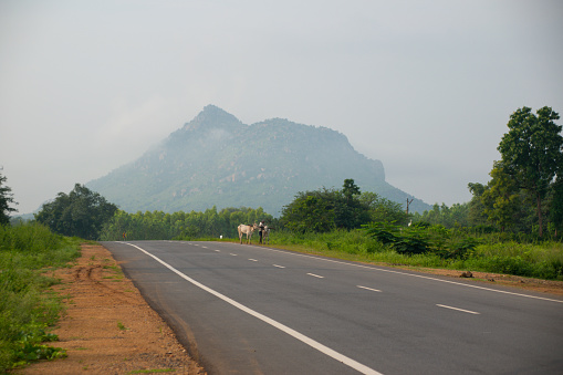 Countryside drive in south India