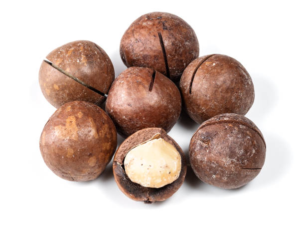 istock handful of macadamia nuts closeup on white 1318484606