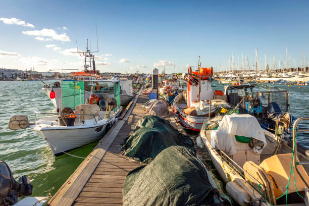 barche dei pescatori attraccate al molo con nidi a lagos, portogallo - fishermen harbor foto e immagini stock