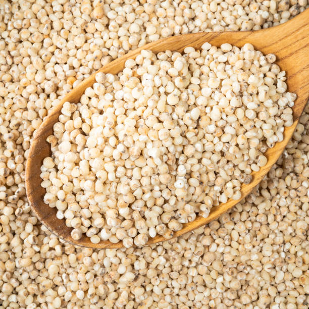 istock Sorghum groats in wooden spoon closeup 1318486061