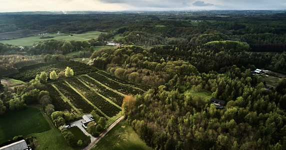 Danish nature in springtime