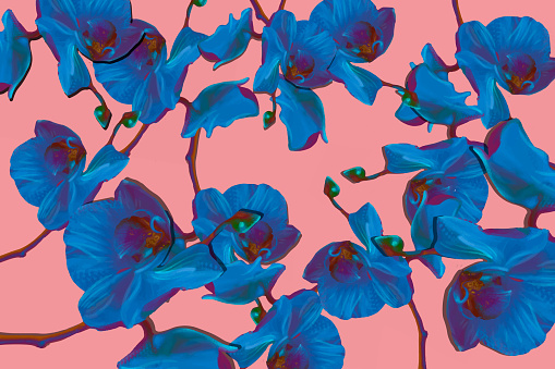 Seamless pattern with blue orchids