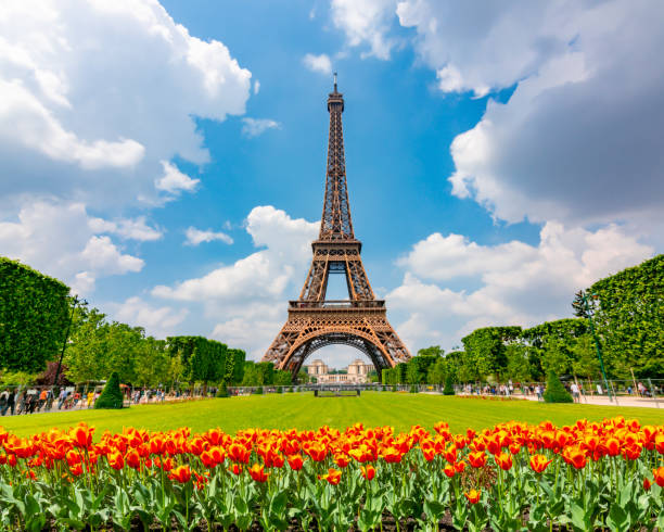 Eiffel Tower and spring tulips on Field of Mars, Paris, France stock photo