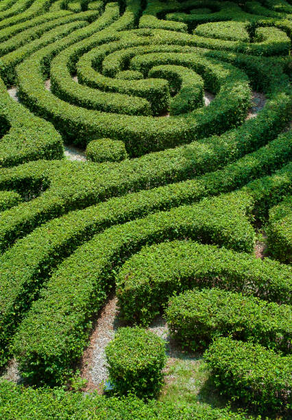 istock Ornamental garden 1318493647