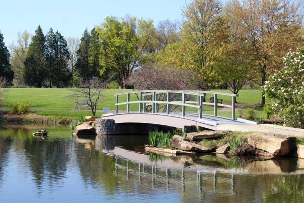 istock Small Footbridge in the park 1318493956