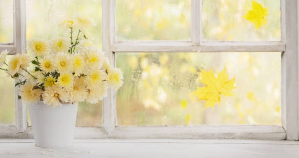 istock chrysanthemums in  vase on  windowsill in autumn 1318494825