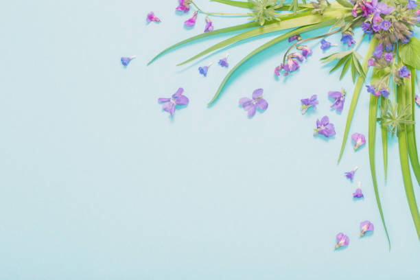 istock spring wild flowers on blue paper background 1318494912