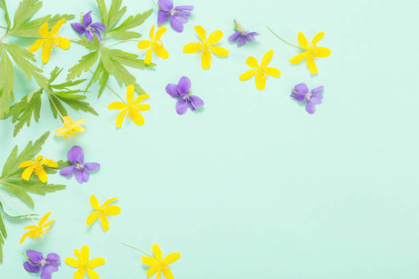 istock summer flowers on green paper background 1318494920