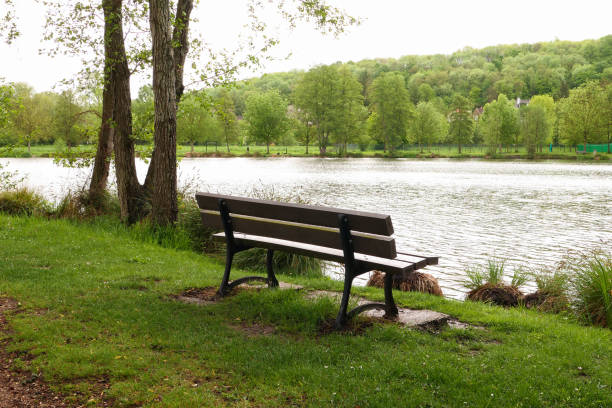 istock Empty wooden bench in front of a lake. 1318499206