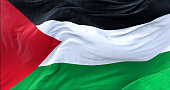 close up view of the flag of Palestine waving in the wind