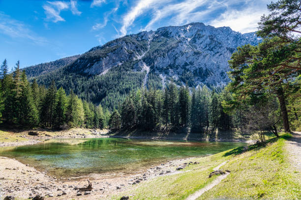 istock Green Lake ( Grüner See ), Styria, Austria 1318499568