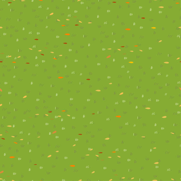 Lawn Grass Seamless With Autumn Leavesvector Cartoon Nature Green Field  Texturecute Meadow With Orange Yellow Leaves In Fall Seasonpattern Autumnal  Backgroundendless Backdrop For Mid Autumn Stock Illustration - Download  Image Now - iStock