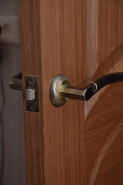 istock Entrance door 1318502149