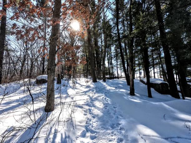 devils lake view during winter. - devils lake imagens e fotografias de stock