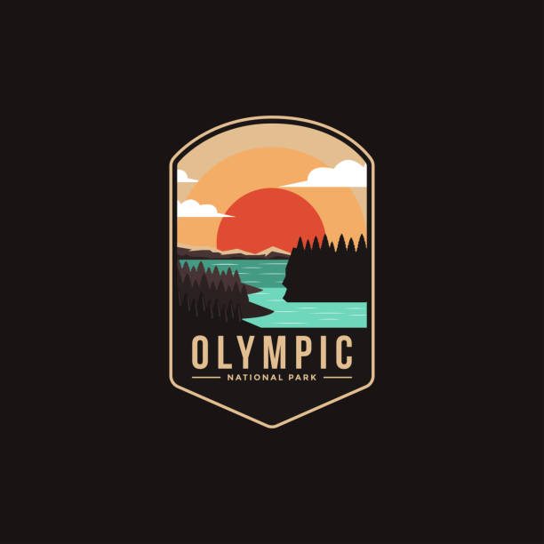 ilustraciones, imágenes clip art, dibujos animados e iconos de stock de emblema parche vector ilustración del parque nacional olímpico en fondo oscuro - olympic national park