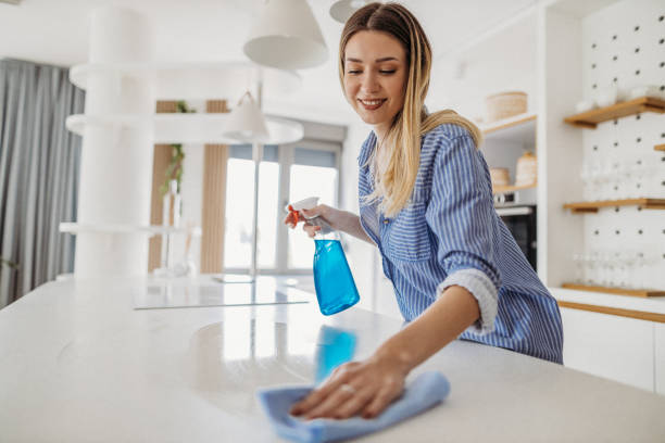 la mujer en casa - kitchen cloth fotografías e imágenes de stock