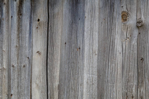 istock gray dry wooden planks wall suface texture and background 1318518930