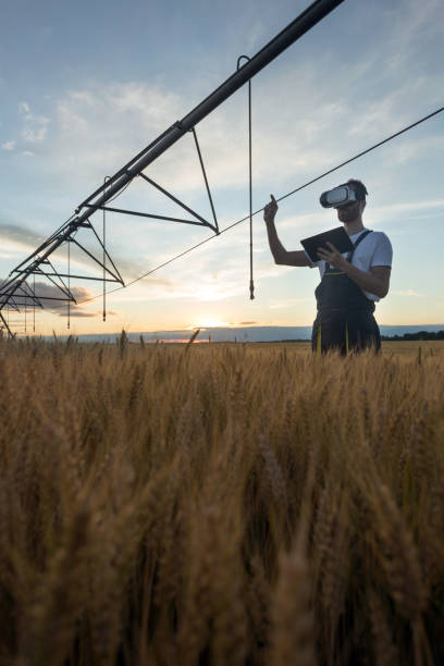 istock Young agronomist using virtual reality goggles and holding a tablet in wheat field at sunset 1318518955