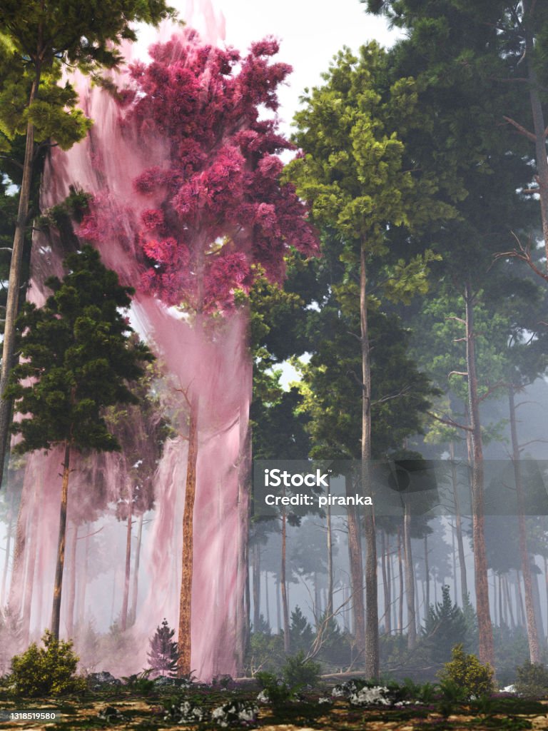 Mysterious pink tree Smoke rising around a mysterious pink tree Adaptation - Concept Stock Photo