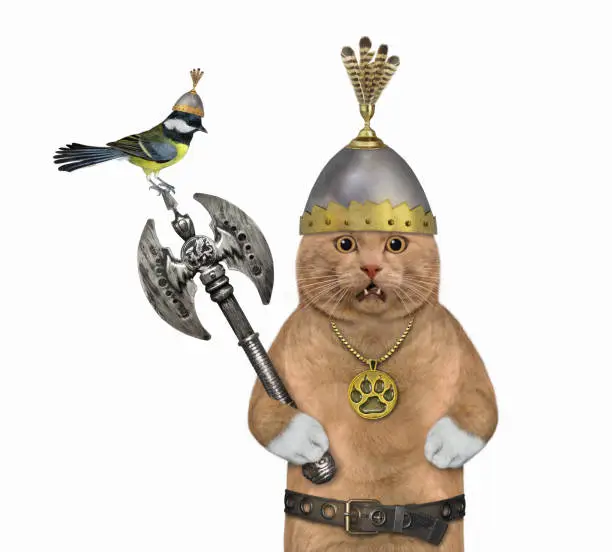 Photo of Cat reddish holds battle axe