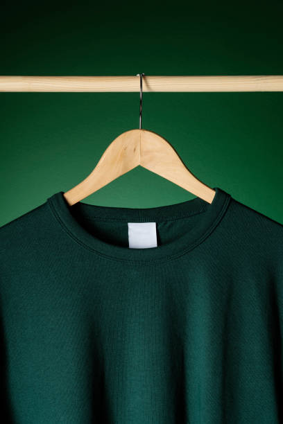 istock T-shirt mockup on wooden hanger 1318520534