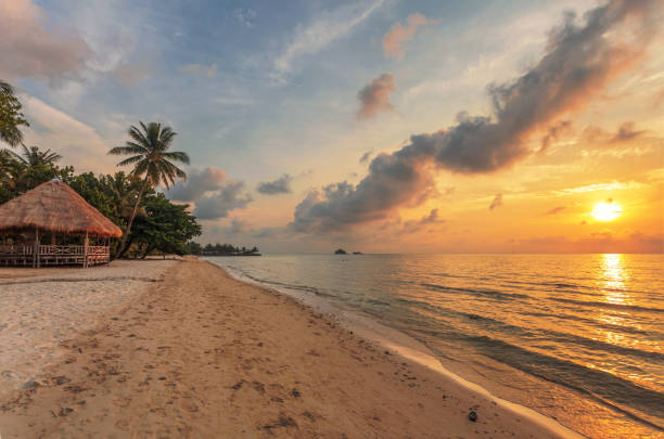 istock bungalow on a tropical beach at sunset 1318521831