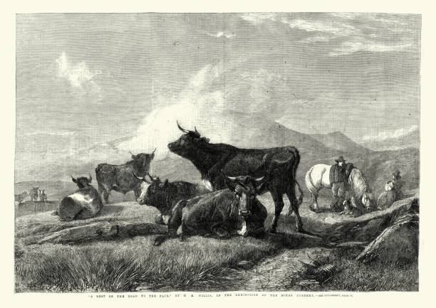 Farmer driving his cattle to market, Victorian 1860s, 19th Century Vintage illustration of Rest on the road to the fair 1861, Farmer driving his cattle to market, Victorian 1860s, 19th Century british beef cow stock illustrations