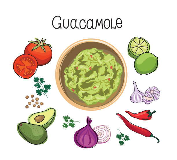 Avocado Guacamole recipe Ingredients. Vegetable and spices for cook Guacamole - tomato, avocado, lime, garlic, pepper, beagle, coriander, salad. mexican cook book vector illustration Avocado Guacamole recipe Ingredients. Vegetable and spices for cook Guacamole - tomato, avocado, lime, garlic, pepper, beagle, coriander, salad. mexican cook book vector illustration guacamole stock illustrations