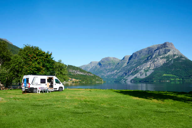 beautiful campsite with blue sky in nature by the lake - germany reservoir water tree imagens e fotografias de stock