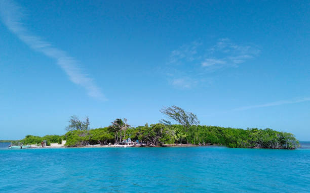 istock View from The Split on Caye Caulker, Belize with turquoise blue sky and water 1318528779