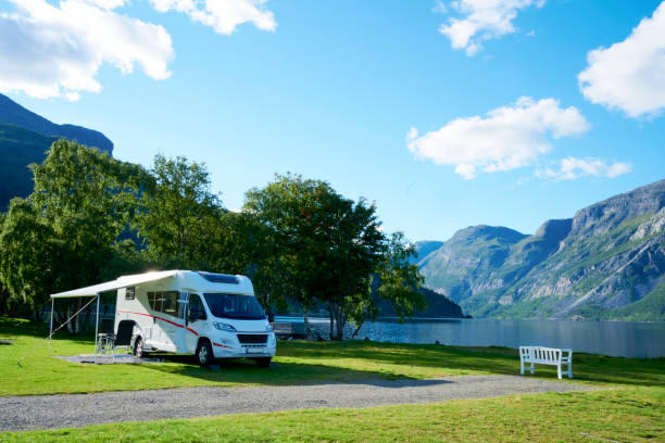 beautiful campsite with blue sky in nature by the lake - germany reservoir water tree imagens e fotografias de stock