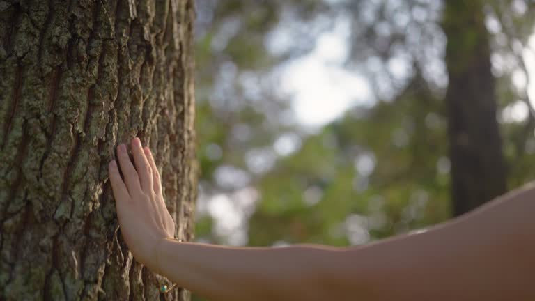 Young woman touching tree gently with her hands and walking around it