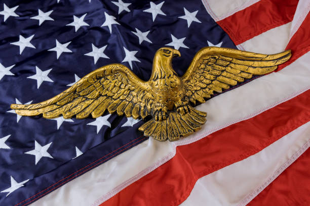 istock American flag on American Bald Eagle independence day memorial day 1318536007