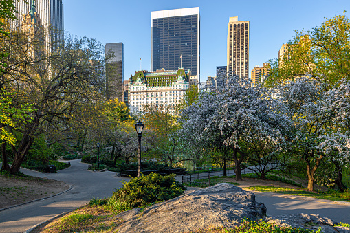 Plaza hotel on he edge of Central Park, New York City