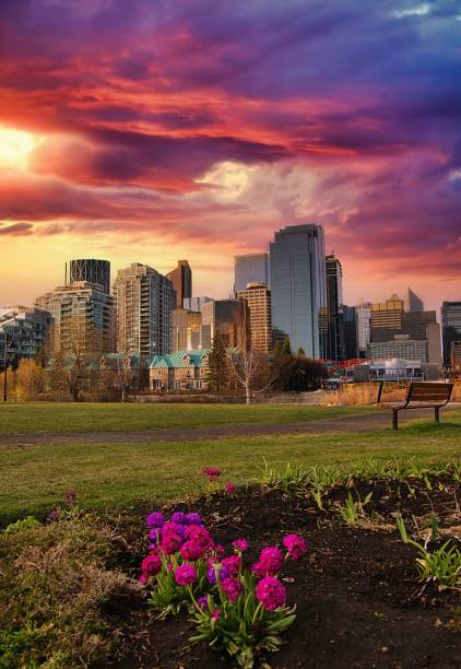 istock Vivid Sunrise Shining Over A Spring Park 1318536988