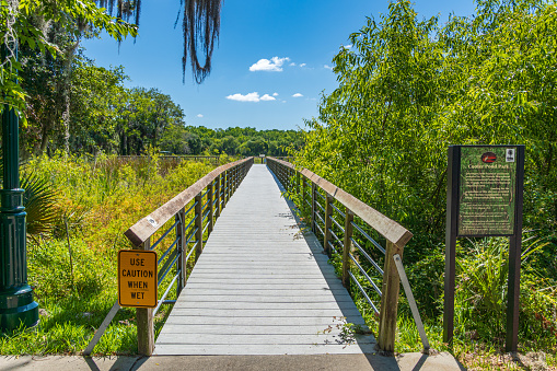 Cooter Pond Park boardwalk - Inverness, Florida, USA