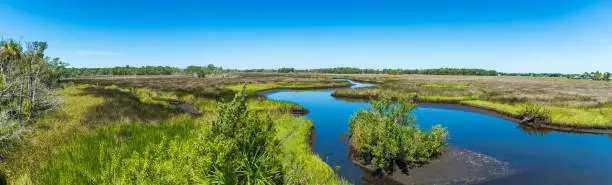 Photo of Panorama from Lastinger Tower at the end of the Chassahowitzka Salt Marsh Trail, Crystal River Wildlife Refuge - Homosassa, Florida, USA