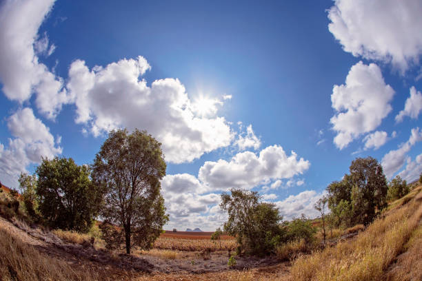 istock Country Landscape In Fish Eye 1318545955