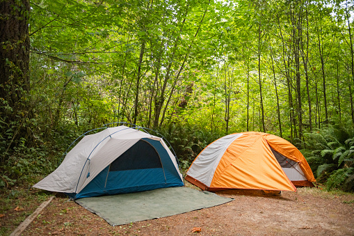 This is a photograph of two different dome tents setup next to each other at a campsite in Del Norte County in Redwood National Park in California, USA on a summer day.
