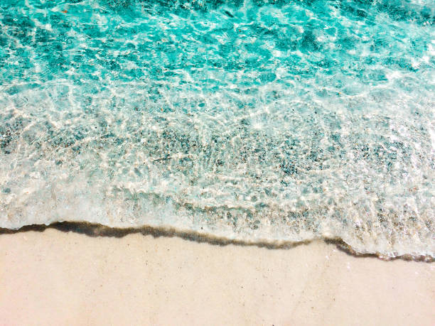 istock Rush of aquatic ocean on a sandy shore 1318548819