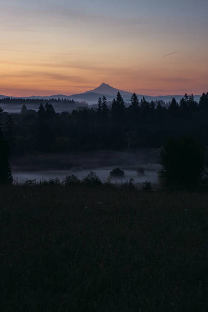 istock Mount Hood Sunrise In the Pacific Northwest 1318558727