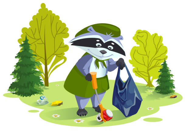 разведчик енот собирает мусор в лесу. забота о природе - raccoon dog stock illustrations