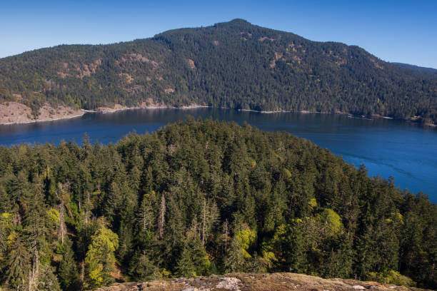 istock Vancouver Island Coastline 1318562239