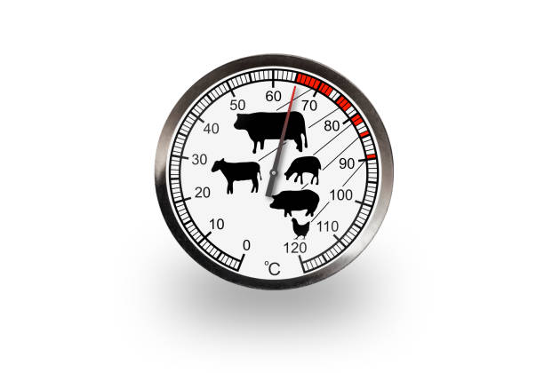 istock Meat thermometer isolated on a white background with soft shadow. The thermometer shows 65 degrees 1318562243