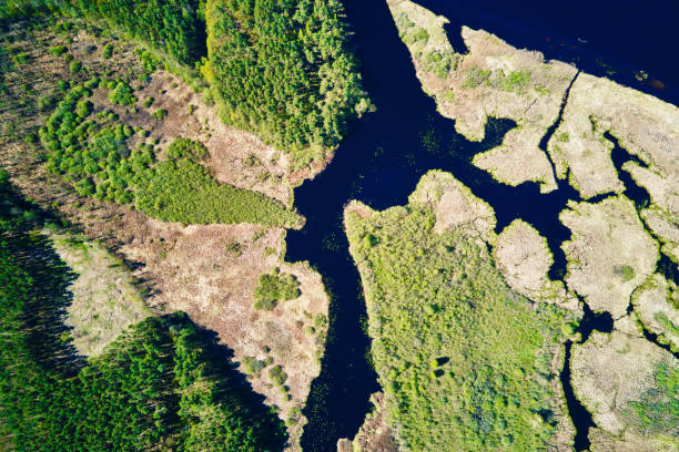 istock River floodplain landscape and green forest, aerial view 1318574523
