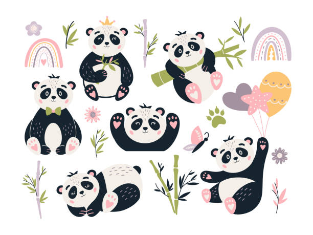 süße panda vektor set baby bär bambus - panda stock-grafiken, -clipart, -cartoons und -symbole