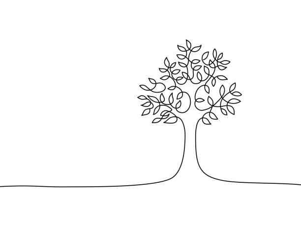 illustrazioni stock, clip art, cartoni animati e icone di tendenza di disegno albero - nature spring new life tree
