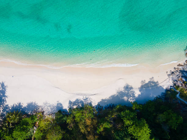 istock Aerial view above beach sea top-down view in Phuket Thailand 1318580332