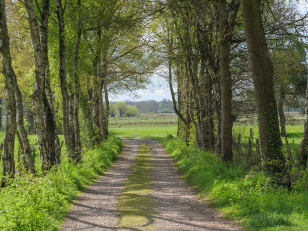 istock hiking in the Dingdener Heide in germany 1318580497