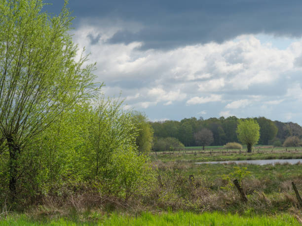 hiking in the Dingdener Heide in germany
